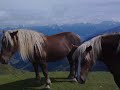 At the top of Maurerkogel (2074m)