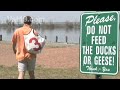 our-ultimate-tote-bag-is-a-recycled-reusable-promotion.html