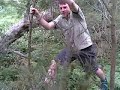 Flying Trees