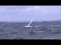 videos voile