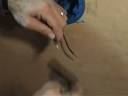 Wire-Nut Spinner 0002 Wire-Nut Spinner 0002