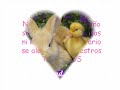la verdadera amistad yenny camelo
