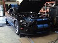 Lethal Performance 2010 GT500 with a 4.0L Whipple Supercharger!!