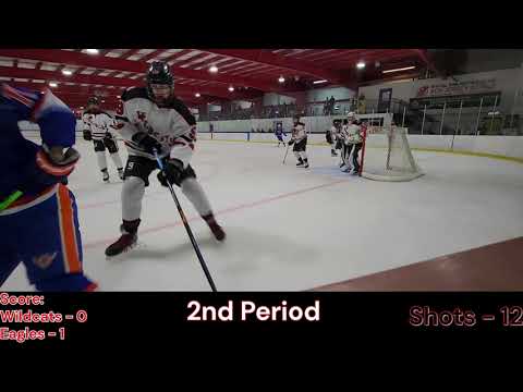 AJ Goalie - JS Wildcats 15P AA vs Tri-City Eagles 15p AA from 8/31/2024