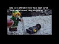 BURNING JUSTIN BIEBER!!! (IN LEGO)
