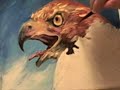Red-Tailed Hawk | Speed Painting