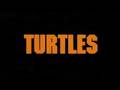 Teenage Mutant Ninja Turtles Trailer