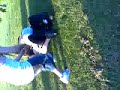 Brown County UFC1