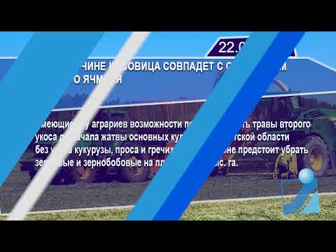 Новостная лента Телеканала Интекс 22.06.25.