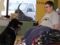 Summit Assistance Dogs