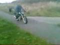 videos de 005.3gp