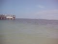 Dolphin rushing bait to shore Sanibel FL 010209