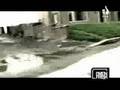 finch - bitemarks and bloodstains