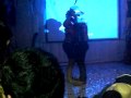 CIMG0543.AVI