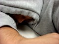 snoring daniel in karr