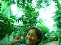 butterflies conservatory in Key West - AMAZING !!! butterflies conservatory in Key West - AMAZING !!!