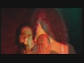 ציפור-להקת אבטיפוס-שרון הולצמן