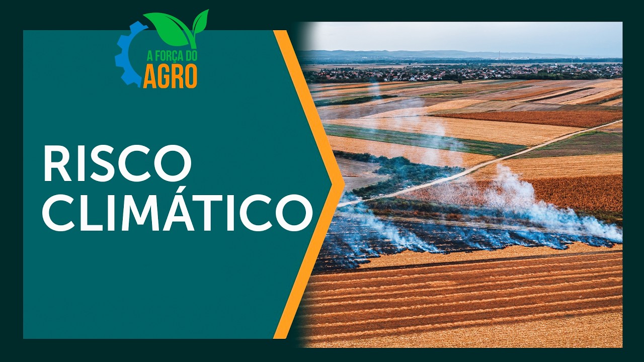 Como o El Niño pode DESTRUIR sua safra e rebanho? | A Força do Agro, com Joice Maffezzolli