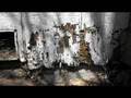 videos de Termite Control : Will Termites Eat Treated Lumber?