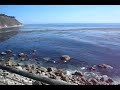 esalen 5