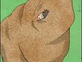gaara beta