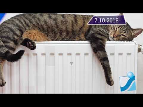 Новостная лента Телеканала Интекс 07.10.18.