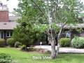 $598,000~Waterfront Home on Orient Lane in Oriental, NC 28571