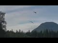 Dogfight: F27C Stryker and Great Planes Slinger, plus MD500 Dogfight: F27C Stryker and Great Planes Slinger, plus MD500