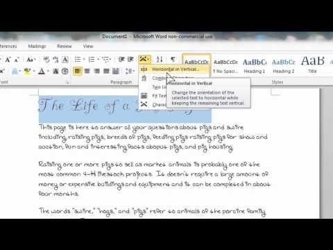 how to turn font sideways in word