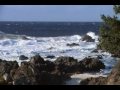 SDV_0093