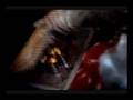 videos de Bud Light Horse Fart (Funny Video)