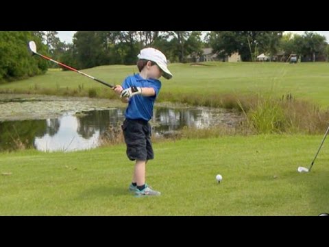 tiger -