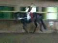 Training 30.5.08 Teile der Pflicht