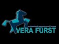 Equine Show Jumping Horse for Sale by Landos