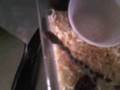 eggs-2008
