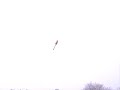 Hornet MScomposit inverted touch grass