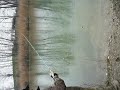 Riccio skipping on ice!