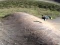 waterloo meadow reading , BMX track with rc cars