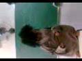 videos de Telisa a menina monstro-parte 2.3gp