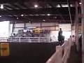 standardbred demo at Equine Affair