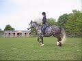 Fun with my horse! (and falling off!)