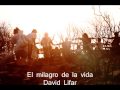 LA VIDA ES UN MILAGRO