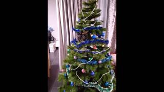 Cute bobtail kitten started to ruin Christmas tree