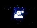 �kos - a lepkegy?jt? LIVE