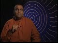 Vikas Malkani - The Enlightenment Specialist