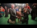 Dogue de Bordeaux | Victoria Stilwell at Westminster Dog Show