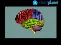 Las bases neurol�gicas de la siesta