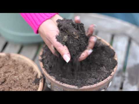 how to fertilize dirt