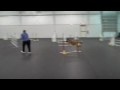 Video 1