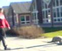 han g�r alene,. den lille stakkel(:  (east farm)